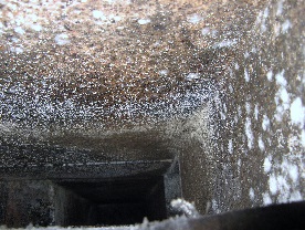 removing mould from air duct